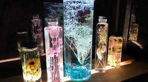 ダイソーのパスタケースで巨大ハーバリウム o o limia リミア アンティーク インテリア ダイソー ガラス容器