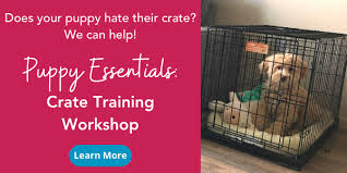 Tips, video, schedules & what to expect. Crate Training Your Puppy At Night