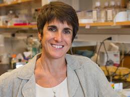 Sandra Hewett — Syracuse University News