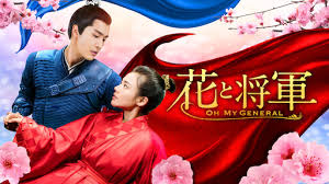 Oh my general subindo : Nirvana In Fire Netflix