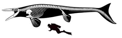 Tylosaurus - Everything Dinosaurs