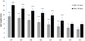80% of the sample had significant improvements to the health of their hair and the level of regrowth. Evaluation Of Hair Growth Properties Of Topical Kombucha Tea Extracts Springerlink
