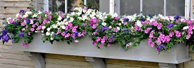 Flower window boxes tm is a manufacturer direct of deck rail planters and flower boxes for porch and balcony railings. Planter Boxes Vinyl Window Planter Boxes
