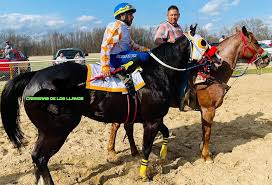 Historia de caballos