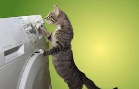 Works on most samsung dryers that have a rear. Why Is My Dryer Squeaking How To Fix A Dryer Making Loud Noise