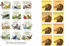 Birding Is My Favorite Video Game: Cartoons about the Natural World from  Bird and Moon: Mosco, Rosemary: 9781449489120: Amazon.com: Books