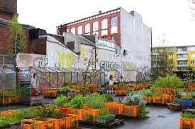 City of aventura official website. My Garden In The City Urban Gardening Is The Latest Trend