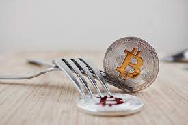 So i could use my bitcoin cash seed phrase to claim my coins in bitcoin sv and move those coins wherever i want. Bitcoin Cash S Mining War Escalates As Blockchain Hard Fork Approaches Coindesk