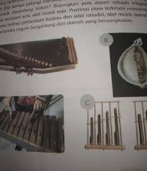 Alat musik angklung juga digolongkan sebagai alat musik instrumen dalam jenis idiofon atau biasa disebut alat musik yang sumber bunyinya berasal dari bahannya. Apakah Perbedaan Alat Musik A Dan B Brainly Co Id