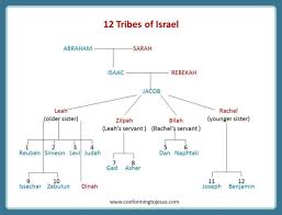 Family Tree Chart Of Jacob Et Al The Bible Project