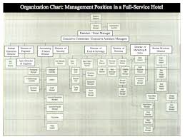 Mountain Resort Organizational Chart Custom Paper Sample