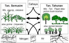 Interaksi antara komponen biotik dengan abiotik membentuk ekosistem. Http Www Worldagroforestry Org Sea Publications Files Lecturenote Ln0035 06 Pdf