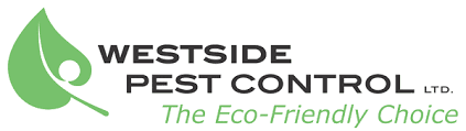 Bill's pest termite control helps residential and commercial property owners tackle their pest control and termite treatment problems with the best solutions. 1 North Delta Pest Control Service Call Today For A Free Quote 604 565 9060