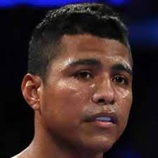 Román González Boxing Record