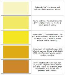 urine color what does it say about your hydration