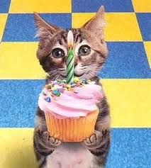 Check spelling or type a new query. Best Birthday Wishes And Messages Pink Lover