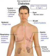 Pin On Diabetes Dip Diet Wt Loss Recipes