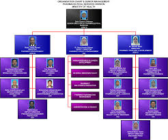 Quotes About Organization Charts 20 Quotes