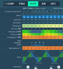 how to read a surf forecast windy app