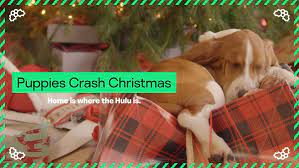 Puppies crash christmas is a continual loop of a troop of adorable puppies breaking out of santa's sack and destroying an unidentified family's the hulu producers must have covered everything in the room in some kind of bacon scent, because these puppies cannot get enough of this christmas scene. Watch Puppies Crash Christmas Streaming Online Hulu Free Trial