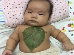 Jadi bunda, demikianlah beberapa cara mengeluarkan dahak pada bayi dan anak yang bisa bunda terapkan. Ramai Kata Karut Cara Mudah Hilangkan Batuk Dan Hingus Bayi Gunakan Petua Tradisional Ni Kartel Dakwah