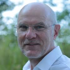 What kind of insect is this?