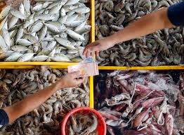 In 2017, more than 1,200 people were killed and more than 40 million impacted by a comparatively average monsoon season. Rainy Season To Raise Prices Of Fish Produce Malaysia Malay Mail