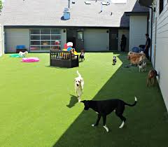 Banfield animal hospital has received approval to construct a 4,000 square foot veterinary clinic located in an outlot of hoffman plaza. Home Barrington Square Animal Hospital