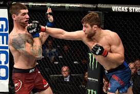 Recent rotowire articles featuring andrew sanchez. Ufc