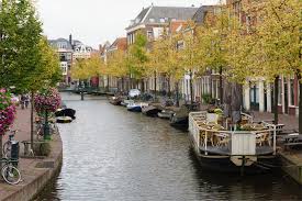 Visit the sight where the very first tulips were planted in holland! 12 Reasons To Visit Leiden The Netherlands