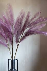 Explore a wide range of the best pampas grass on aliexpress to find one that if you're searching for pampas grass bulk deals, then aliexpress would have them! Faux Pampas Grass Stem Mauve Rockett St George
