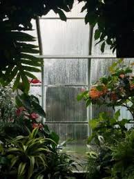 Creating zones in your garden can assist with using space more efficiently, and you can do it in several ways. How To Make The Most Of Your Garden Space Greenhouse Plants Red Plants