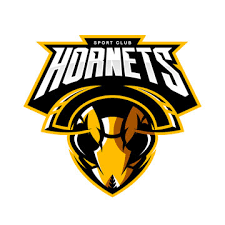 Find & download free graphic resources for hornet logo. Hornet Logo Photos Royalty Free Images Graphics Vectors Videos Adobe Stock