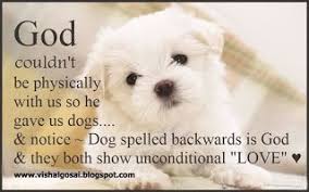 Vishal Gosai Important Quotes Of Life Dog Quotes Pets Dogs