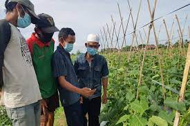 Penguasaan sains dan teknologi 5. Peran Transformasi Komunikasi Digital Untuk Kemajuan Pertanian Indonesia