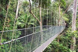 There are 5 ways to get from taman negara to kuala lumpur by bus, bus and ferry, taxi or car. Taman Negara National Park Top 10 Things To Do Mutiara Taman Negara