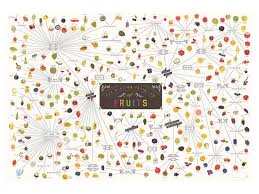 Pop Chart Lab The Various Varieties Of Fruits