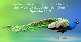 14 Bibelverse Uber Den Stolz Dailyverses Net