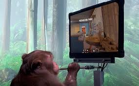 3 cats in a trench coat 21 мар в 22:05. Navi On Twitter Reject Humanity Return To Monke Https T Co 24egjntqrn