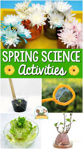 Spring sensory bins are the perfect way to keep little hands occupied as we make our way into warmer weather! Spring Science Activities For Preschoolers