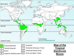 The population density of the tropical rainforest will vary depending on the location. Http Www Waltonstaffs Com Media 80435 Paper 1 The Living World Chapter Pdf