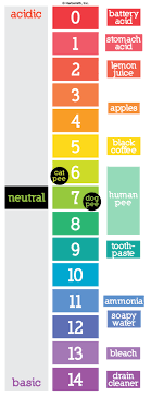 Urine color was positively correlated with usg, but the relationship was not significantly improved by use of a uc chart. Bladder Health Herbsmith