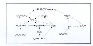 The trophic level of an organism is the they breakdown organic matter into simple inorganic substances. Wildlife In The Garden The Garden S Web Of Life Young People S Trust For The Environment