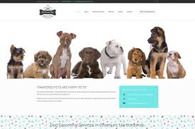 Our groomers love what they do and they always keep safety first when grooming pets. 17 Stunning Dog Grooming Websites To Stimulate Brands 2020 Colorlib