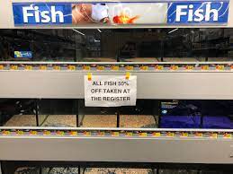 Maybe you would like to learn more about one of these? Local Walmart Is Closing Up Their Live Fish Section Aquariums