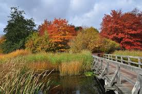 Upload, livestream, and create your own videos, all in hd. Herbst Im Britzer Garten Foto Bild Jahreszeiten Herbst Natur Bilder Auf Fotocommunity