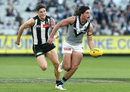 Port adelaide football club is a professional australian rules football club based in alberton, south australia. Vic Covid Update Afl Crowd At The Mcg On High Alert For Coronavirus After Case Attended Port Adelaide Vs Collingwood 7news