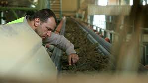 He appeared in more than fifty films since 1993. Nenad Jezdic Otkriva Kako Izgleda Njegov Zivot Na Selu Sa Cetvoro Dece I Zasto Je Napustio Beograd Piplmetar