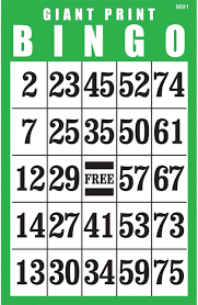 Just choose your colour, your card and click print. Amazon Com Giant Print Bingo Card Green Health Personal Care