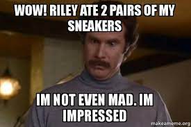 Last saturday on april 18th, the instagram and music world got their the two contestents took different approaches to the contest, with teddy riley appearing with a full. Wow Riley Ate 2 Pairs Of My Sneakers Im Not Even Mad Im Impressed Ron Burgundy I Am Not Even Mad Or That S Amazing Anchorman Make A Meme